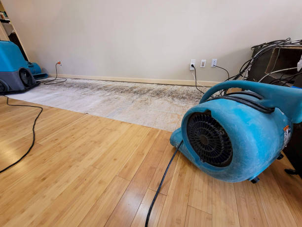 Professional Structural Drying technician working in Fairview, TN